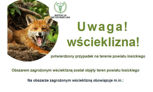Wścieklizna